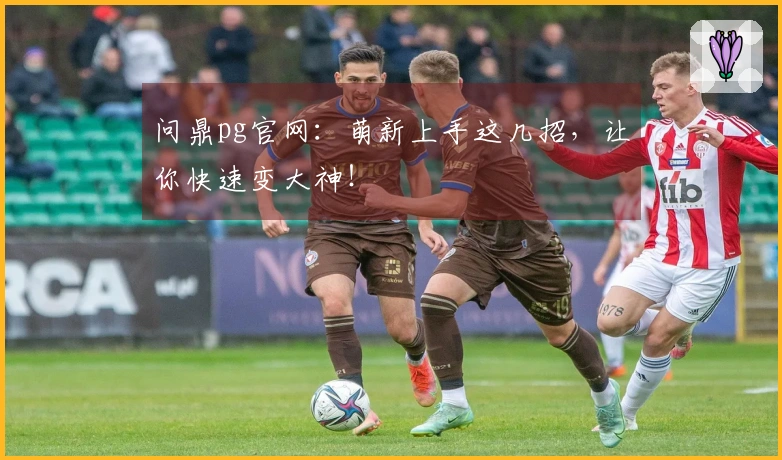 问鼎pg官网：萌新上手这几招，让你快速变大神！