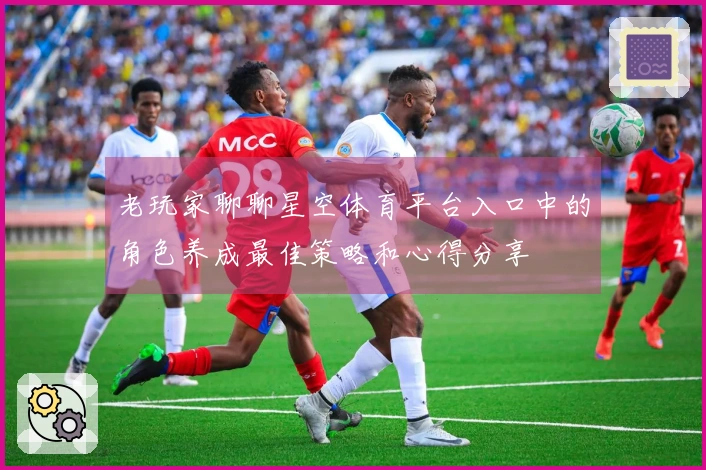老玩家聊聊星空体育平台入口中的角色养成最佳策略和心得分享